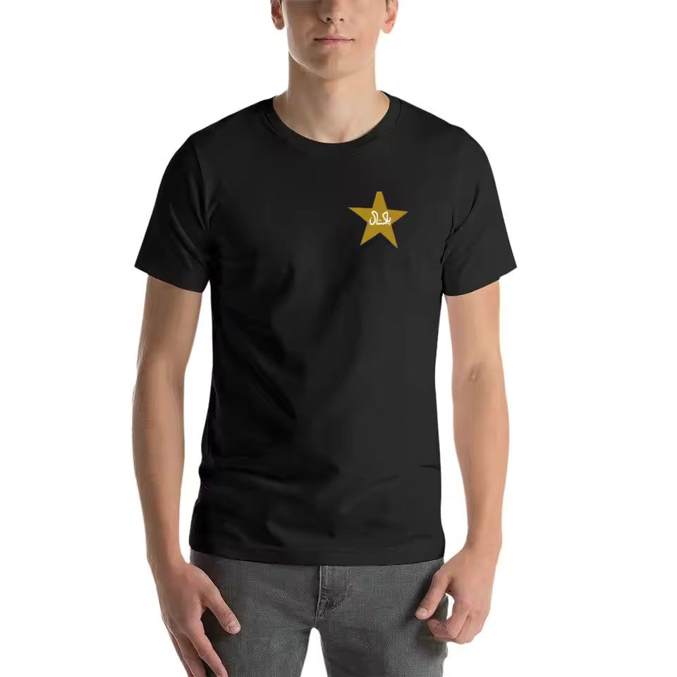 Pakistan Cricket team logo T-Shirt Blouse graphic shirts clothes for men